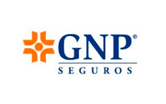 09-gnp
